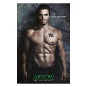 Arrow Affisch Destiny A45