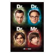 big-bang-theory-affisch-dr-mr-1