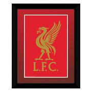 Liverpool Bild Crest 20 X 15
