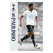 Tottenham Hotspur Affisch Paulinho 57