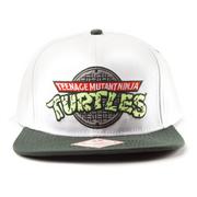 Turtles Keps Logo Snap Back