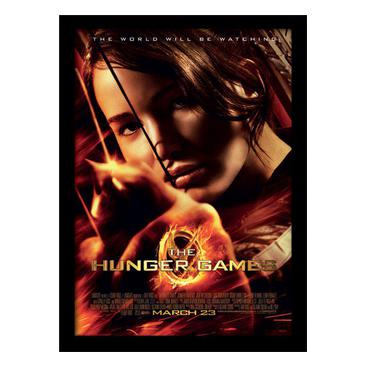The Hunger Games Inramad Bild Aim
