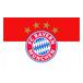Bayern München Flagga