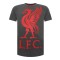 Liverpool T-shirt Liverbird Grå