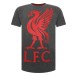 Liverpool T-shirt Liverbird Grå