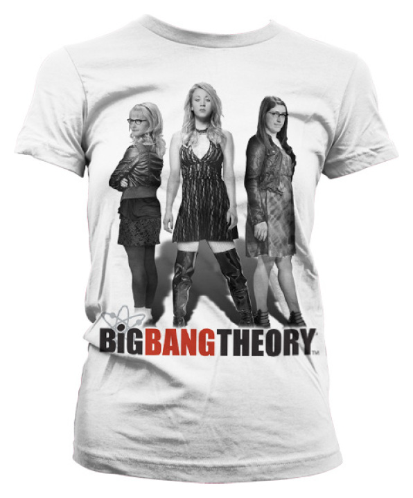 Big Bang Theory T Shirt Girl Power Dam