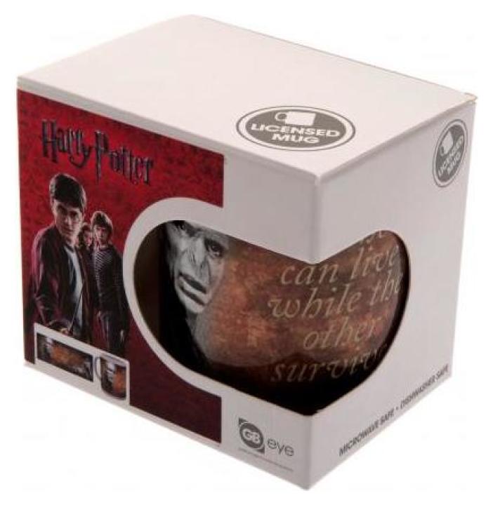 Lord Voldemort Ceramic Coffee Mugs – giftmug